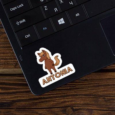 Horse Sticker Antonia Laptop Image