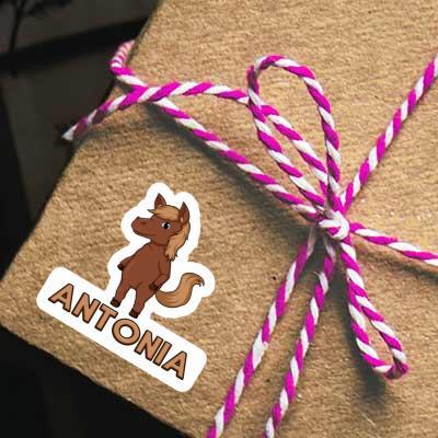 Horse Sticker Antonia Notebook Image