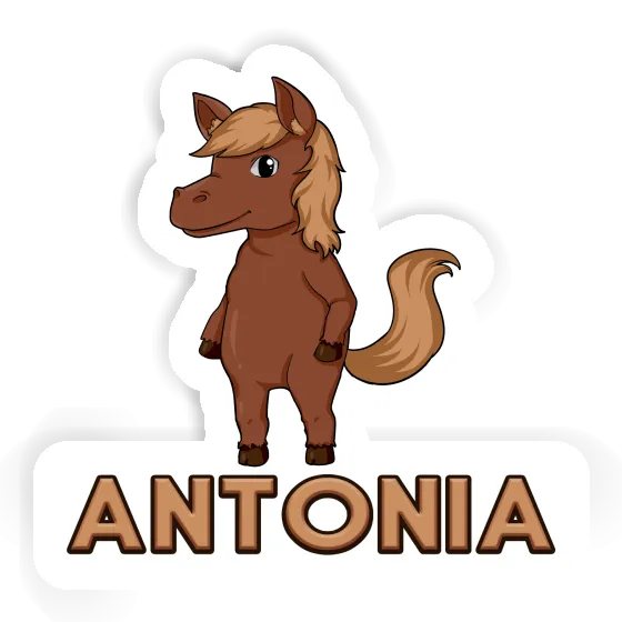 Horse Sticker Antonia Notebook Image