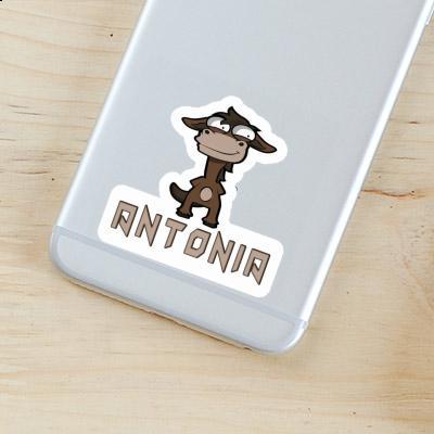 Standing Horse Sticker Antonia Laptop Image