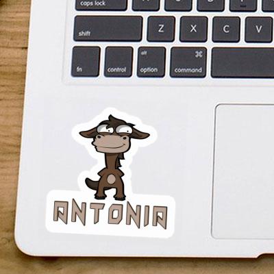 Standing Horse Sticker Antonia Laptop Image