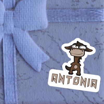 Standing Horse Sticker Antonia Image