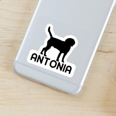 Antonia Sticker Dog Notebook Image