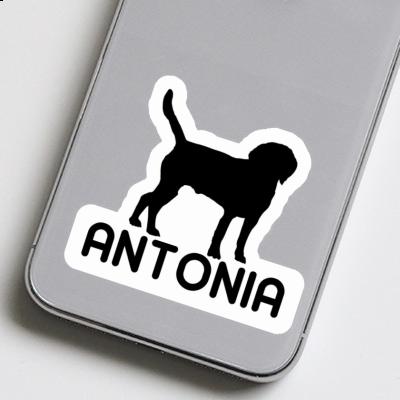 Antonia Sticker Dog Gift package Image