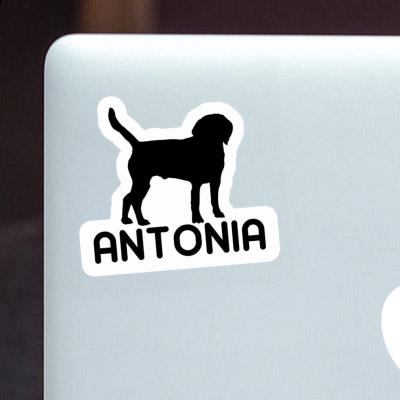 Antonia Sticker Dog Notebook Image