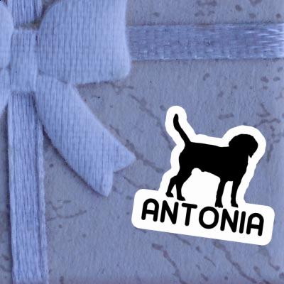 Antonia Sticker Dog Laptop Image