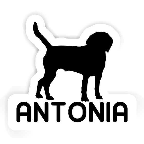 Antonia Sticker Dog Gift package Image