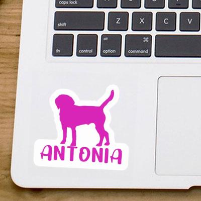 Dog Sticker Antonia Laptop Image