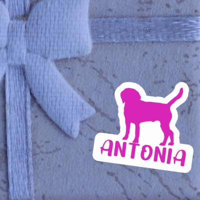 Dog Sticker Antonia Image