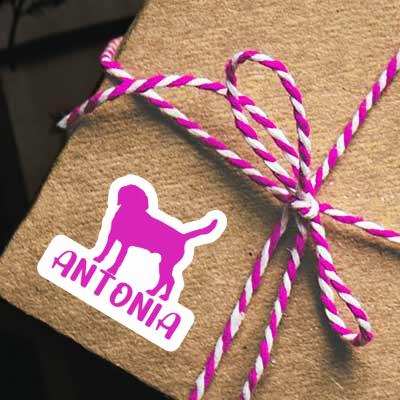 Dog Sticker Antonia Image