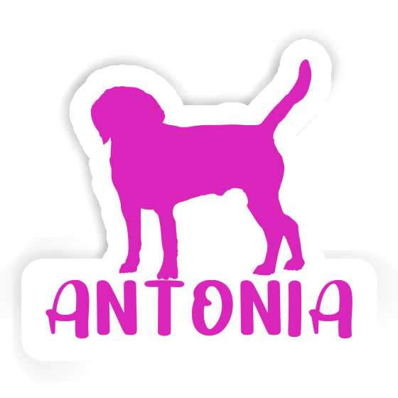 Dog Sticker Antonia Laptop Image