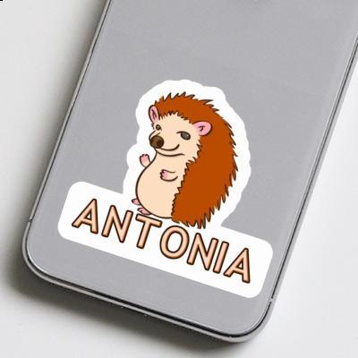 Antonia Sticker Igel Laptop Image