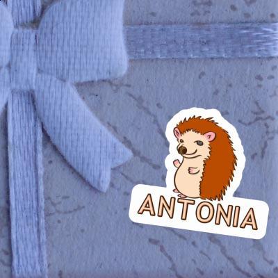 Sticker Hedgehog Antonia Notebook Image