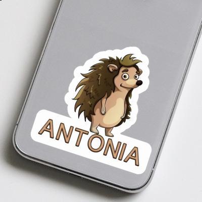 Sticker Hedgehog Antonia Notebook Image