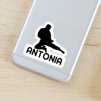 Antonia Sticker Karateka Notebook Image