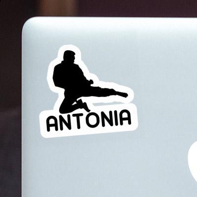 Antonia Sticker Karateka Notebook Image