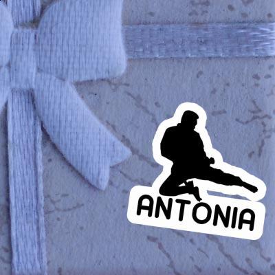 Antonia Sticker Karateka Notebook Image