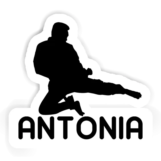 Antonia Sticker Karateka Notebook Image