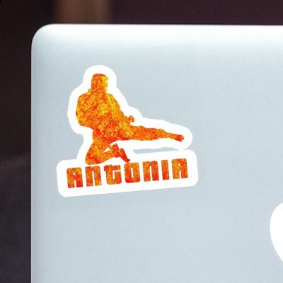 Sticker Antonia Karateka Laptop Image