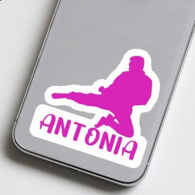 Sticker Antonia Karateka Laptop Image