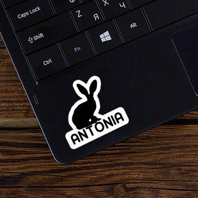 Antonia Autocollant Lapin Laptop Image