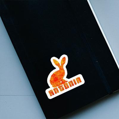 Sticker Antonia Rabbit Notebook Image