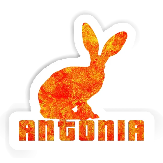 Sticker Antonia Rabbit Notebook Image