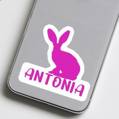 Rabbit Sticker Antonia Notebook Image