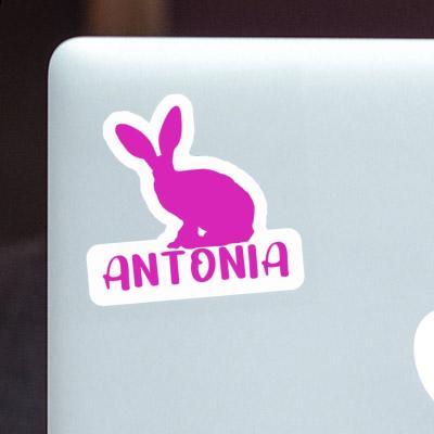 Rabbit Sticker Antonia Notebook Image