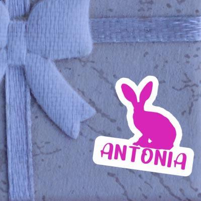 Lapin Autocollant Antonia Notebook Image