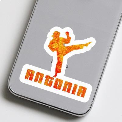 Karateka Sticker Antonia Notebook Image