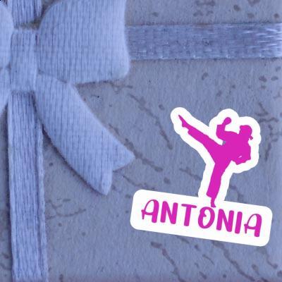 Sticker Karateka Antonia Laptop Image