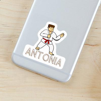 Sticker Karateka Antonia Laptop Image