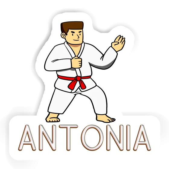 Antonia Aufkleber Karateka Gift package Image