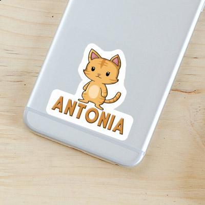 Antonia Sticker Cat Image