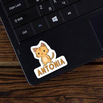 Chaton Autocollant Antonia Notebook Image