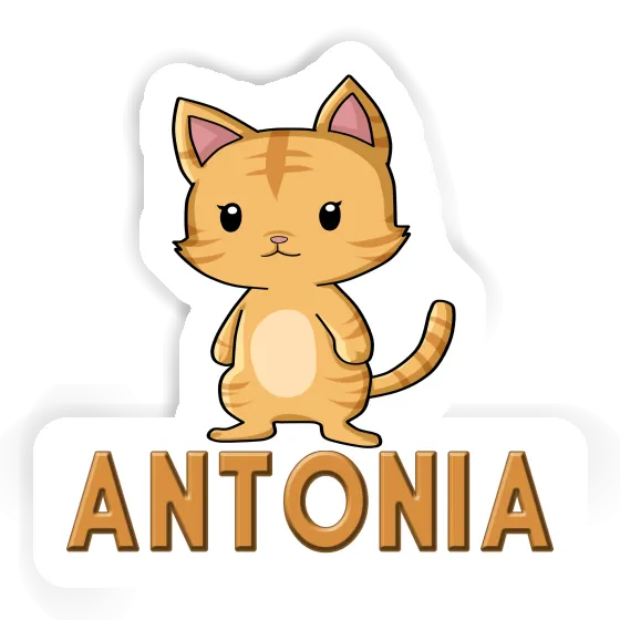 Sticker Antonia Kätzchen Image