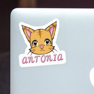 Sticker Cat Antonia Laptop Image