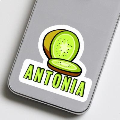 Aufkleber Kiwi Antonia Notebook Image