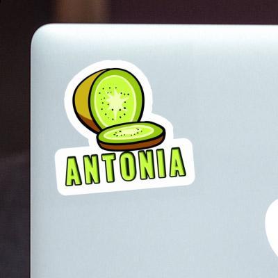 Sticker Kiwi Antonia Notebook Image