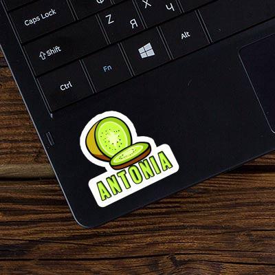 Aufkleber Kiwi Antonia Laptop Image