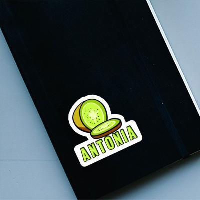 Autocollant Antonia Kiwi Notebook Image