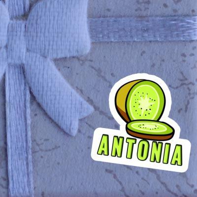 Autocollant Antonia Kiwi Laptop Image