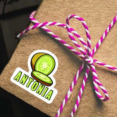 Autocollant Antonia Kiwi Gift package Image