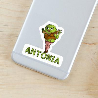 Sticker Antonia Kiwi Image