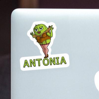 Sticker Antonia Kiwi Laptop Image