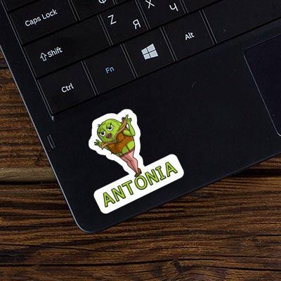 Sticker Antonia Kiwi Notebook Image