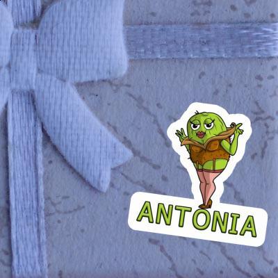 Sticker Antonia Kiwi Image