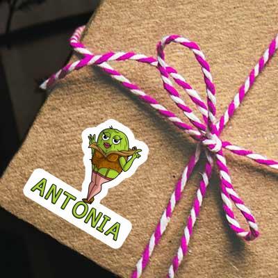 Sticker Antonia Kiwi Notebook Image