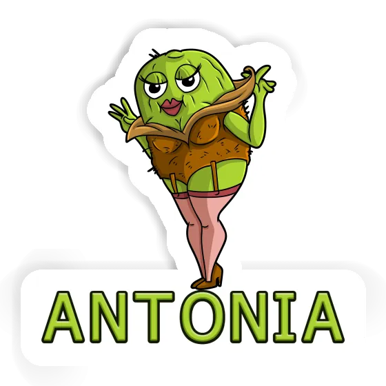 Sticker Antonia Kiwi Laptop Image